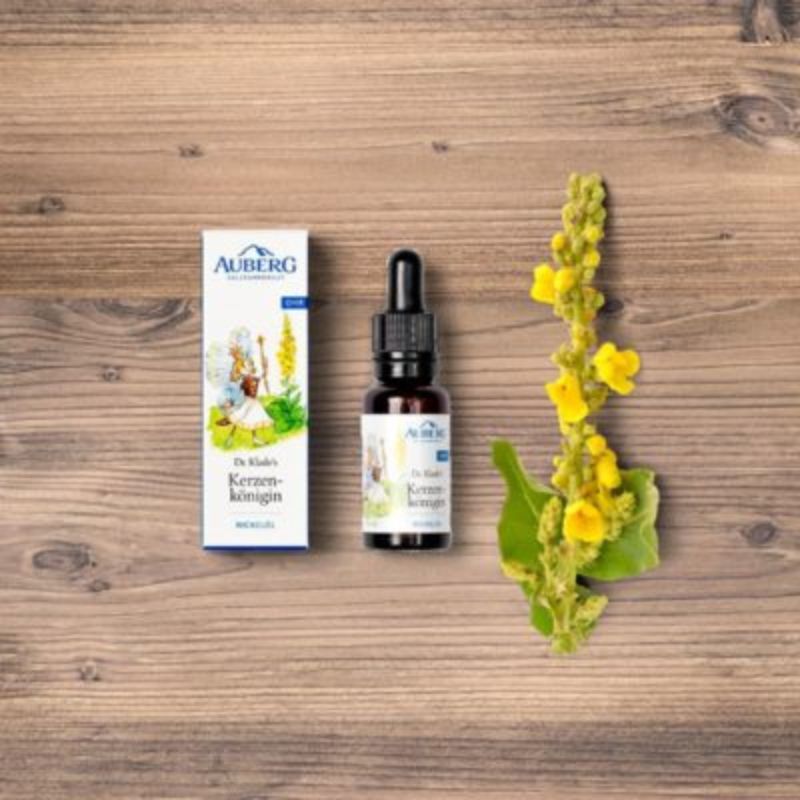 Auberg Ohren-Wichtel Kerzenkönigin Wickelöl