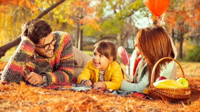 vital-durch-den-herbst_800x450
