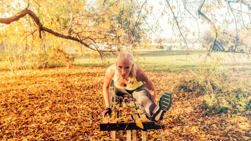 fit durch den herbst_800x450